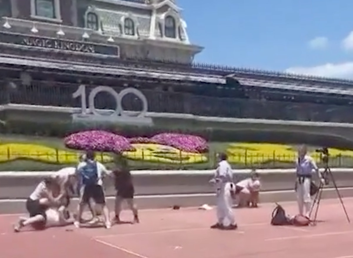 Families Throw Punches at Disney World Over Photo Shoot Spot