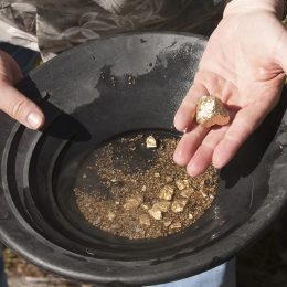 New "Gold Rush" Sparked in California
