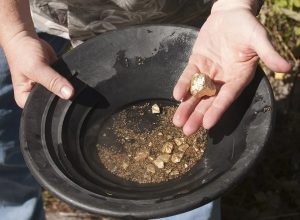 New "Gold Rush" Sparked in California