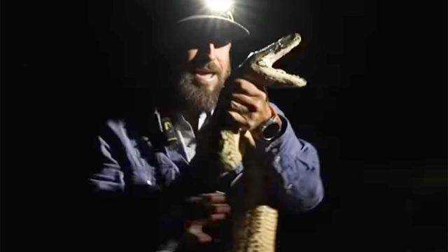 Python_cowboy6