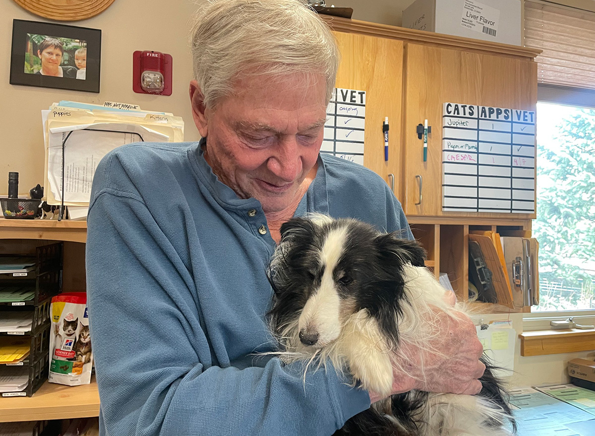 Dog's Incredible Journey Home