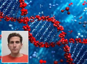 DNA Use in Kohberger Case Forms Division