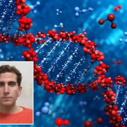 DNA Use in Kohberger Case Forms Division