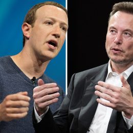Musk and Zuckerberg Ultimate Cage Fight