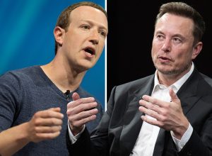 Musk and Zuckerberg Ultimate Cage Fight