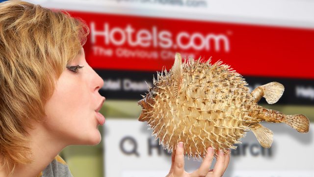 Hotels_strange_requests