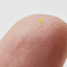 “Microscopic Handbag” Revealed