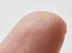 “Microscopic Handbag” Revealed