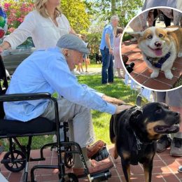 Man's 100th Birthday Wish Was to Pet Dogs
