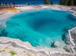 Yellowstone Tourist Dips Hand in Hot Spring