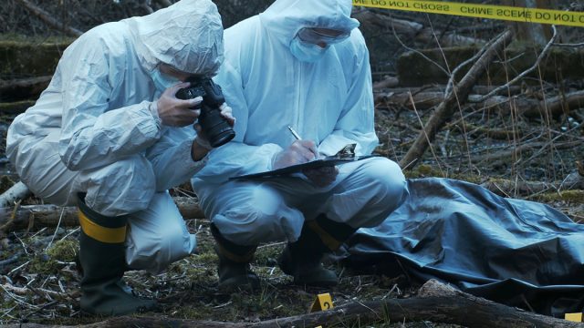 Detectives,Are,Collecting,Evidence,In,A,Crime,Scene.,Forensic,Specialists