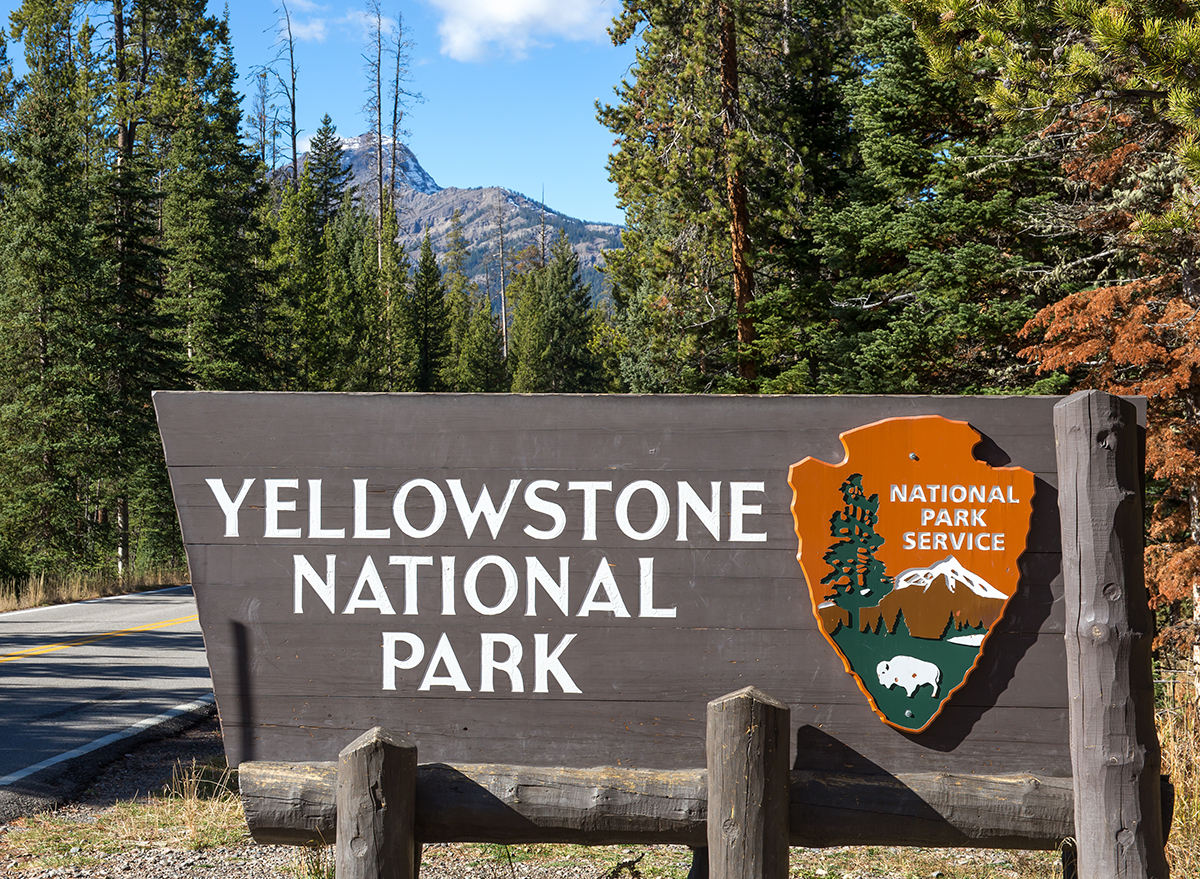 9 Clueless Tourist Accidents That Occurred in Yellowstone Park