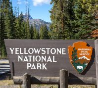7 Tourist Accidents in Yellowstone Park