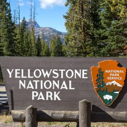 7 Tourist Accidents in Yellowstone Park