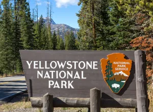 7 Tourist Accidents in Yellowstone Park