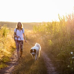 Want to Get Paid $10,000 to Walk?