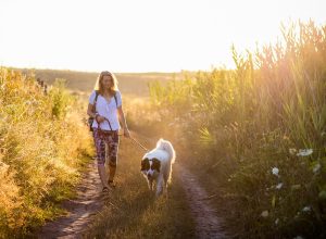 Want to Get Paid $10,000 to Walk?