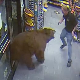 Hair-Raising Encounters With Deadly Creatures