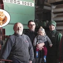Cheesemaker Dies in Avalanche of Grana Padano