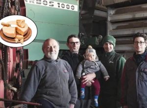 Cheesemaker Dies in Avalanche of Grana Padano