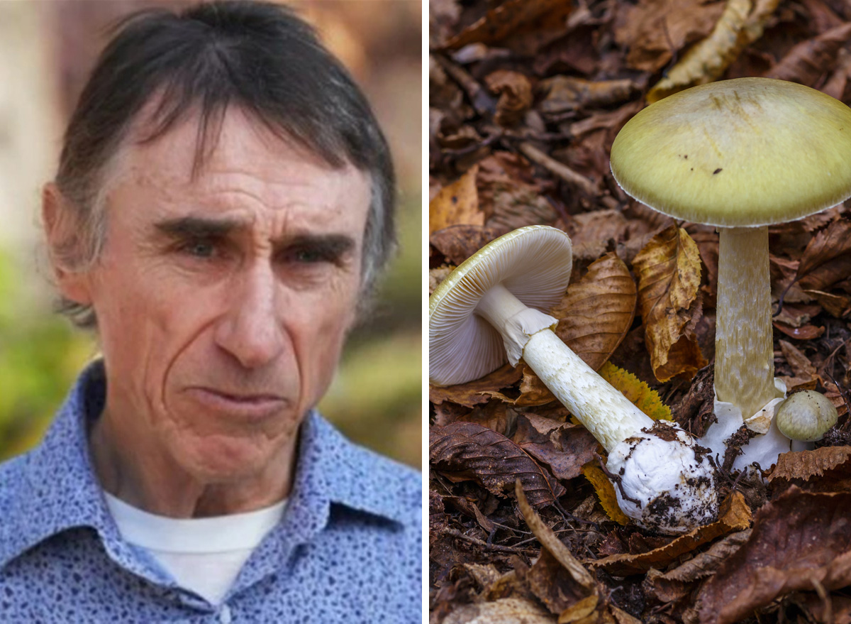 man-survived-after-eating-death-cap-mushrooms