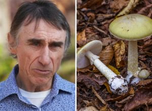 Man Survived Eating Deadly Mushrooms