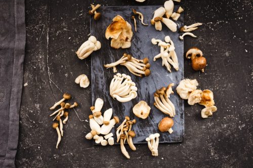 Mixed mushrooms. Shiitake, Composition of King trumpet mushroom (Eringi), Brown beech mushroom (Shimeji), Indian Oyster mushroom, Jew's ear Mushroom, Golden needle mushroom.