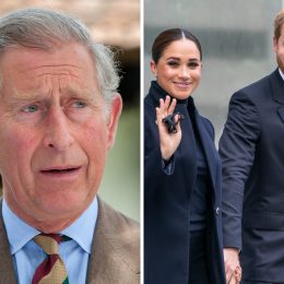 King Charles and Harry: "Peace Talks" Drama