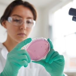 Portrait of young woman holding petri dish while working on research in medical laboratory