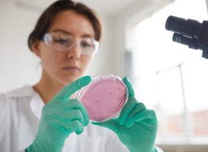 Portrait of young woman holding petri dish while working on research in medical laboratory
