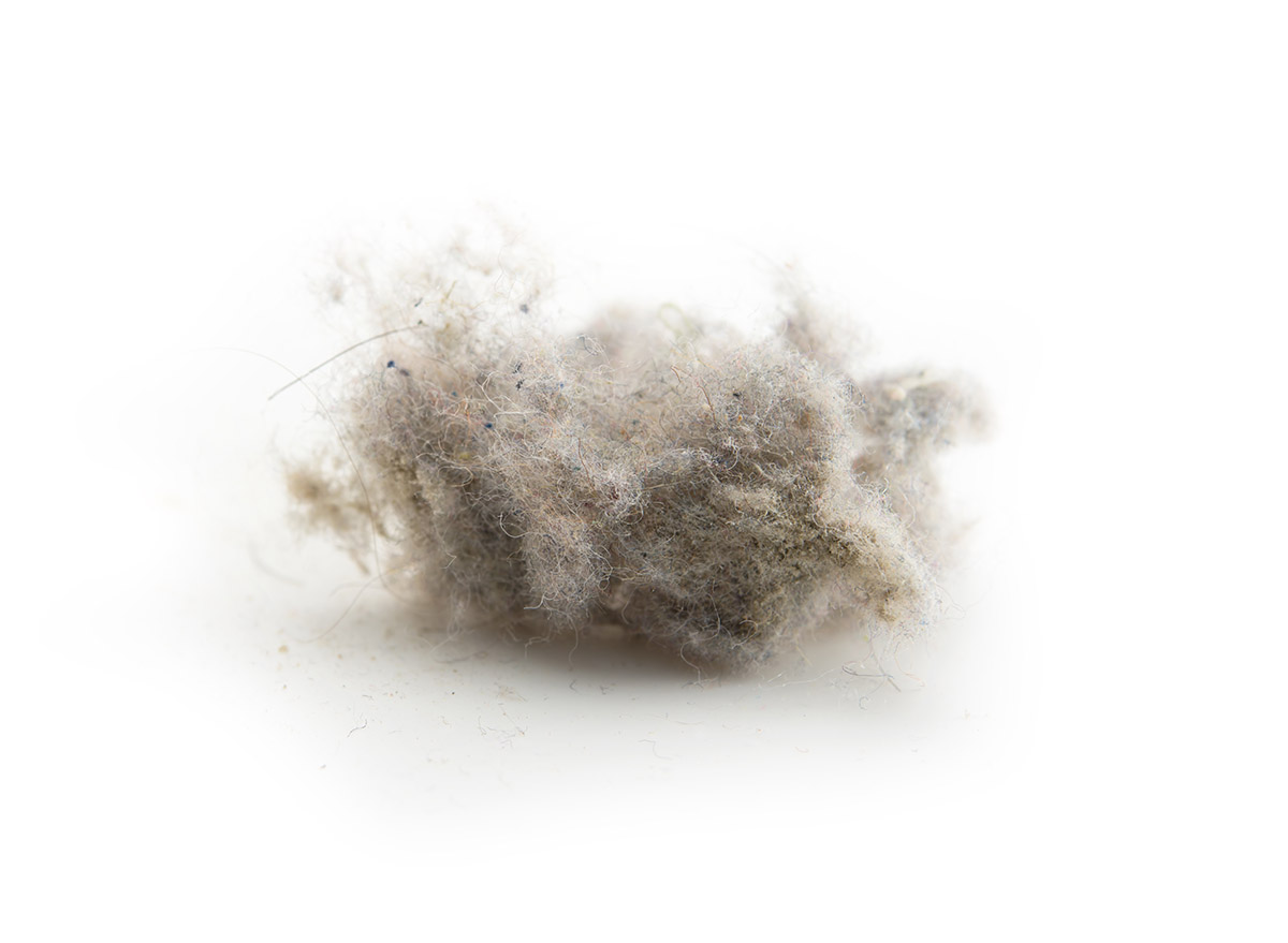 What Your Bellybutton Lint Reveals About You, Says Science