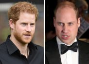Harry and William's Vicious Conflict Rages On