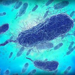 Signs of Flesh-Eating Bacterial Infections