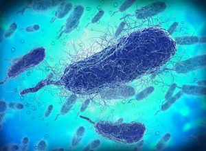 Signs of Flesh-Eating Bacterial Infections