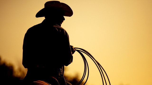 Cowboy,,Lasso,Silhouette,At,Small town,Rodeo.,Buyers,