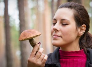 Woman with an edible mushroom in the forest