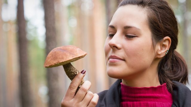 Woman with an edible mushroom in the forest