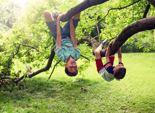 friendship, childhood, leisure and people concept - two happy kids or friends hanging upside down on tree and having fun in summer park