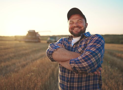Happy bearded farmer in cap looking at camera standing on agricultural wheat field with combine harvester and dump truck on background. Harvesting, farming at sunset. Food production, agribusiness.